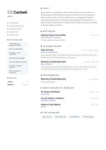 Bakıcı Cv Örnekleri cv indir